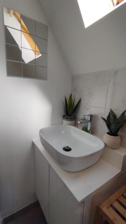 The 16Th Century Duplex In The City Center Apartment Antwerpen Bagian luar foto