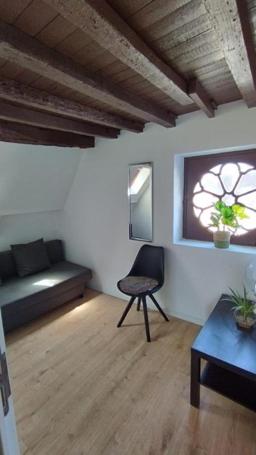 The 16Th Century Duplex In The City Center Apartment Antwerpen Bagian luar foto
